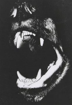 YOURTURNUNISEX - T-shirt Med Print - White -YOURTURN Affär 58bb31f561364d32afd21d152180aa2a